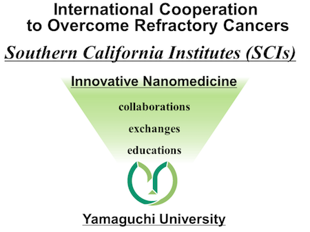 Southern California Institutes (SCIs)(USA)